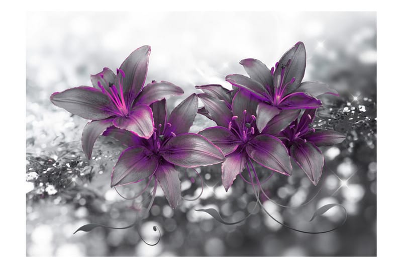 Valokuvatapetti Secret Of The Lily 400x280 - Artgeist sp. z o. o. - Sisustustuotteet - Seinäkoristeet - Tapetit - Valokuvatapetit