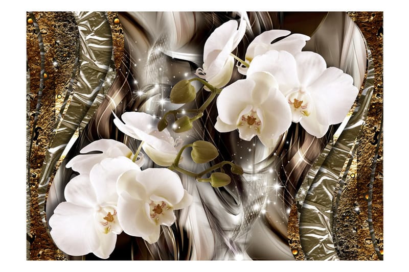 Valokuvatapetti Seekers Of Beauty 250x175 - Artgeist sp. z o. o. - Sisustustuotteet - Seinäkoristeet - Tapetit - Valokuvatapetit