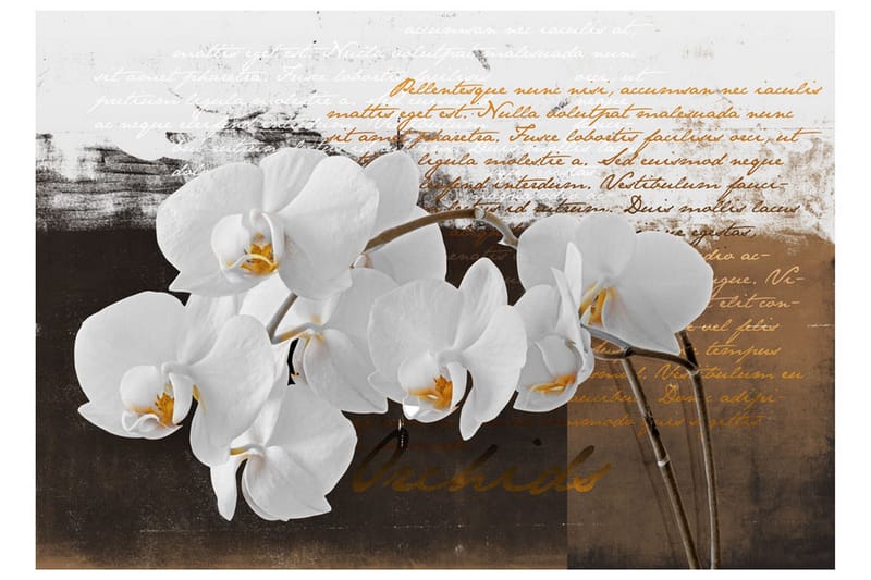 Valokuvatapetti Sentimental Thoughts 250x175 - Artgeist sp. z o. o. - Sisustustuotteet - Seinäkoristeet - Tapetit - Valokuvatapetit