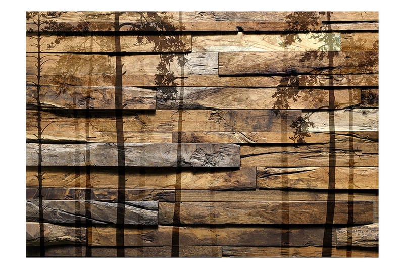 Valokuvatapetti Shadow Of Trees 150x105 - Artgeist sp. z o. o. - Sisustustuotteet - Seinäkoristeet - Tapetit - Valokuvatapetit