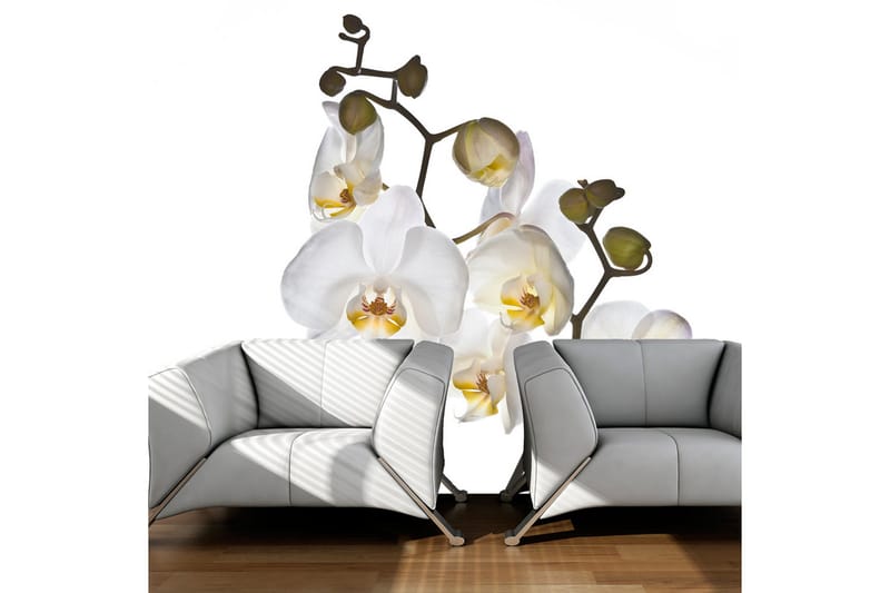 Valokuvatapetti Shyness 300x231, Artgeist sp. z o. o.