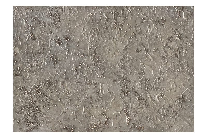 Valokuvatapetti Silver Serenade 350x245 - Artgeist sp. z o. o. - Sisustustuotteet - Seinäkoristeet - Tapetit - Valokuvatapetit