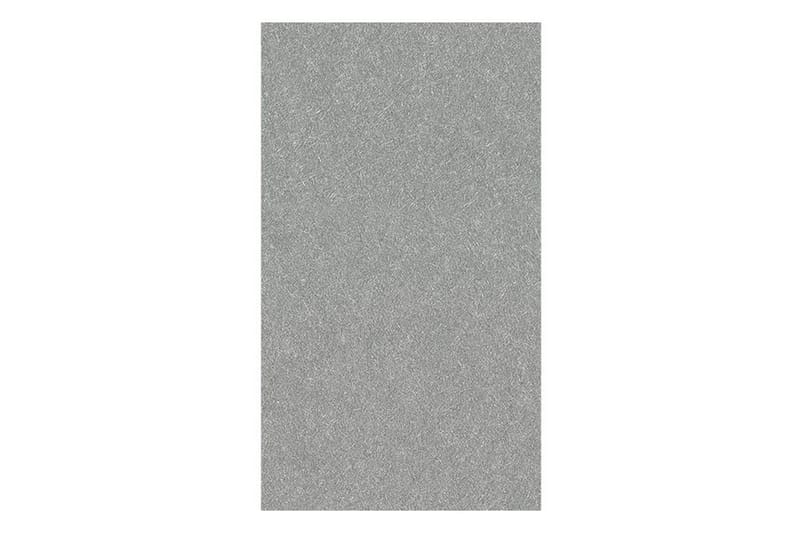 Valokuvatapetti Silver Thread 50x1000 - Artgeist sp. z o. o. - Sisustustuotteet - Seinäkoristeet - Tapetit - Valokuvatapetit