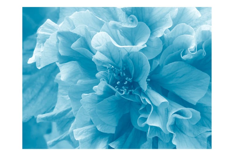 Valokuvatapetti Sininen Azalea 250x193 - Artgeist sp. z o. o. - Sisustustuotteet - Seinäkoristeet - Tapetit - Valokuvatapetit