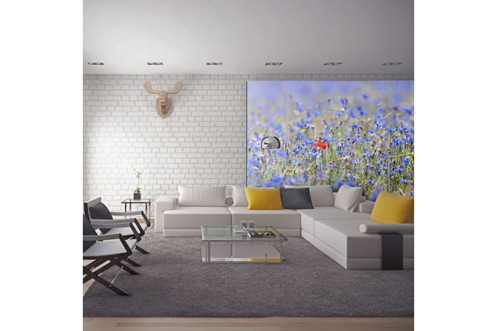 Valokuvatapetti Sky-Colored Meadow Cornflowers 200x154 - Artgeist sp. z o. o. - Valokuvatapetit