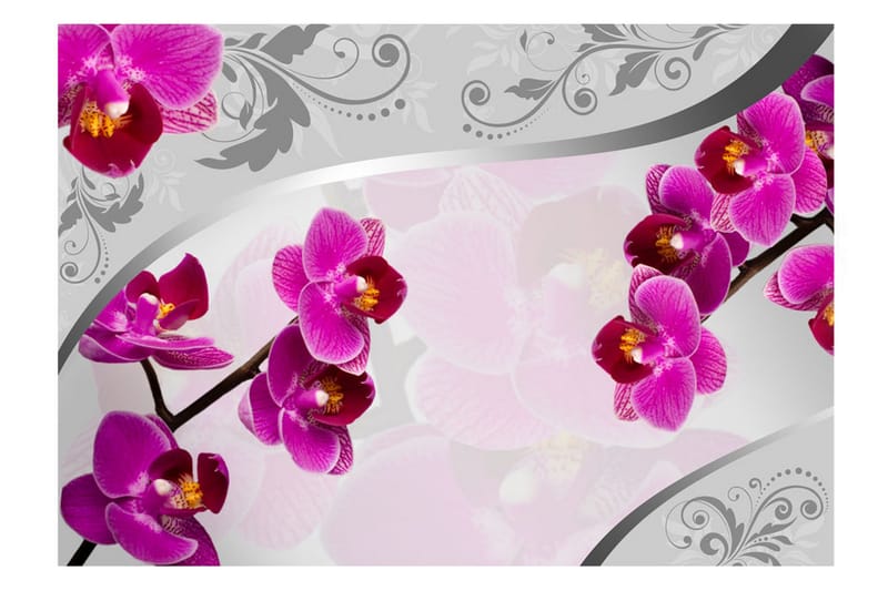 Valokuvatapetti Solace 150x105 - Artgeist sp. z o. o. - Sisustustuotteet - Seinäkoristeet - Tapetit - Valokuvatapetit