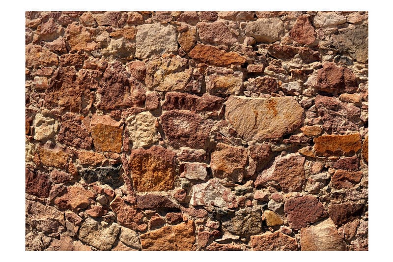 Valokuvatapetti Solar Armor 200x140 - Artgeist sp. z o. o. - Sisustustuotteet - Seinäkoristeet - Tapetit - Valokuvatapetit