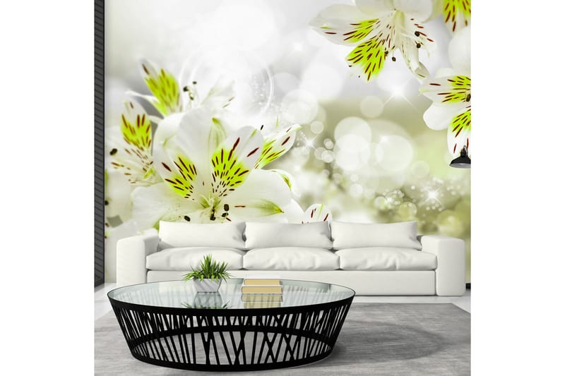 Valokuvatapetti Southern Princess 100x70 - Artgeist sp. z o. o. - Sisustustuotteet - Seinäkoristeet - Tapetit - Valokuvatapetit