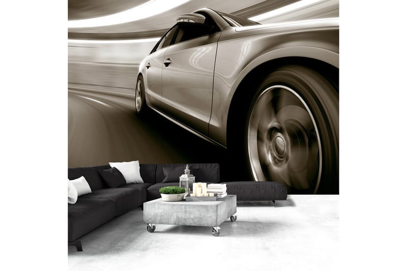 Valokuvatapetti Speed And Elegance 100x70 - Artgeist sp. z o. o. - Sisustustuotteet - Seinäkoristeet - Tapetit - Valokuvatapetit