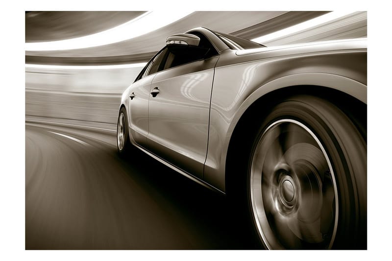 Valokuvatapetti Speed And Elegance 300x210 - Artgeist sp. z o. o. - Sisustustuotteet - Seinäkoristeet - Tapetit - Valokuvatapetit