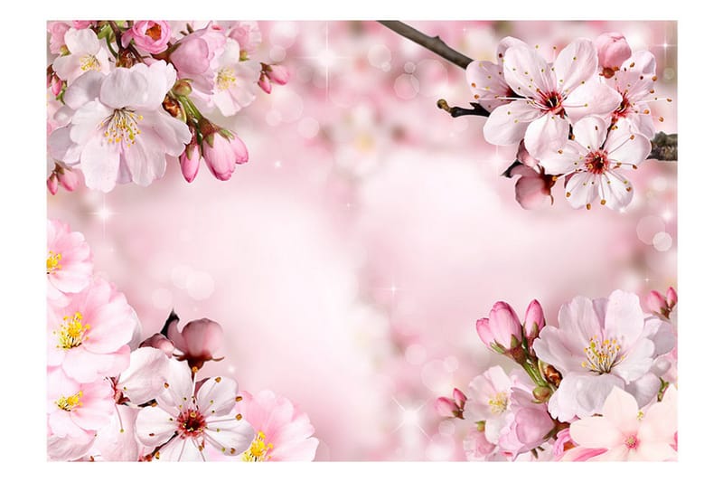 Valokuvatapetti Spring Cherry Blossom 150x105 - Artgeist sp. z o. o. - Sisustustuotteet - Seinäkoristeet - Tapetit - Valokuvatapetit
