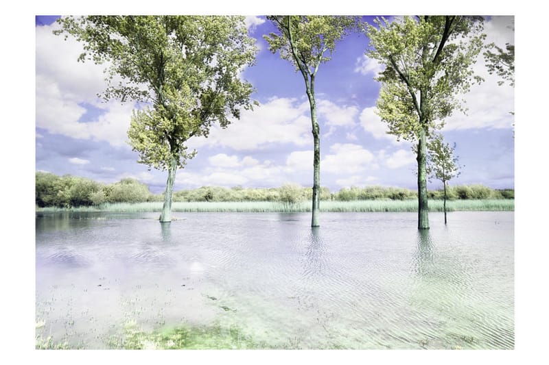 Valokuvatapetti Spring Scenery 200x140 - Artgeist sp. z o. o. - Sisustustuotteet - Seinäkoristeet - Tapetit - Valokuvatapetit