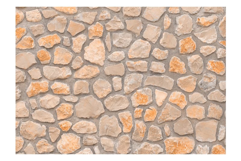 Valokuvatapetti Stone Age 350x245 - Artgeist sp. z o. o. - Sisustustuotteet - Seinäkoristeet - Tapetit - Valokuvatapetit