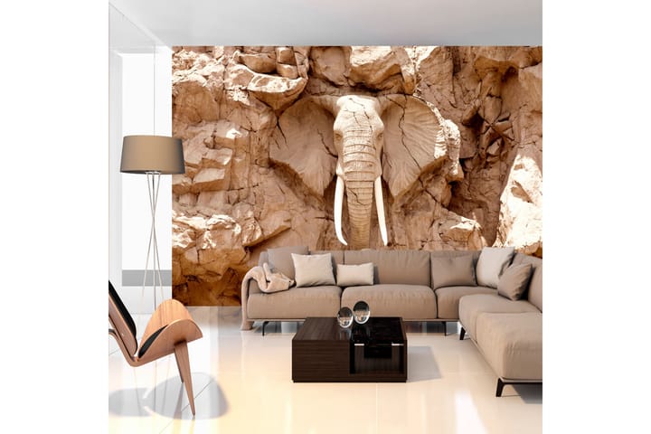 Valokuvatapetti Stone Elephant South Africa 300x210 - Artgeist sp. z o. o. - Valokuvatapetit