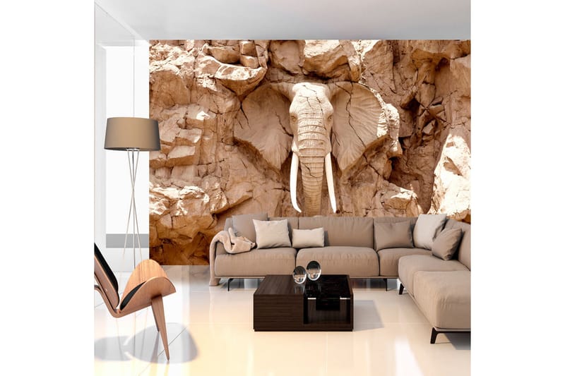 Valokuvatapetti Stone Elephant South Africa 400x280, Artgeist sp. z o. o.