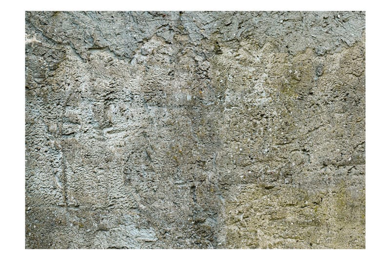Valokuvatapetti Stony Barriere 350x245 - Artgeist sp. z o. o. - Sisustustuotteet - Seinäkoristeet - Tapetit - Valokuvatapetit