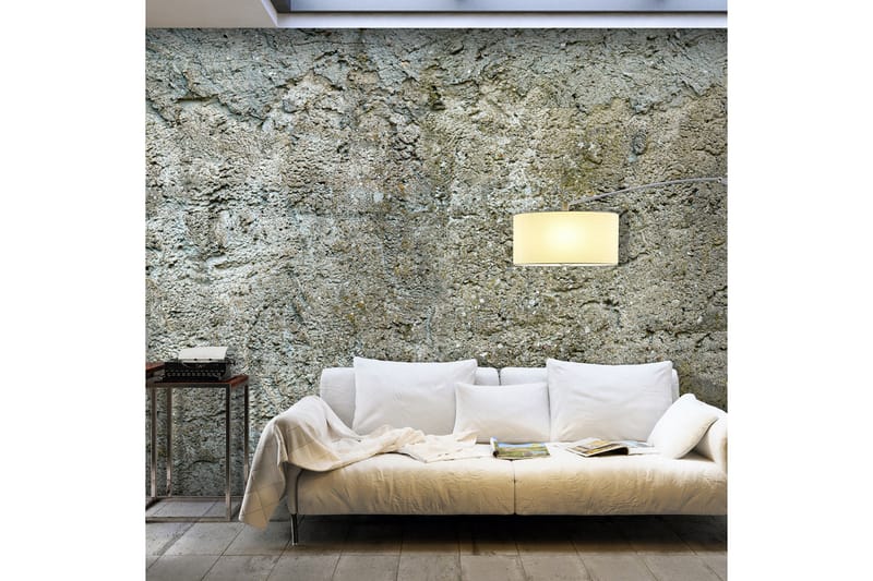 Valokuvatapetti Stony Barriere 350x245 - Artgeist sp. z o. o. - Sisustustuotteet - Seinäkoristeet - Tapetit - Valokuvatapetit