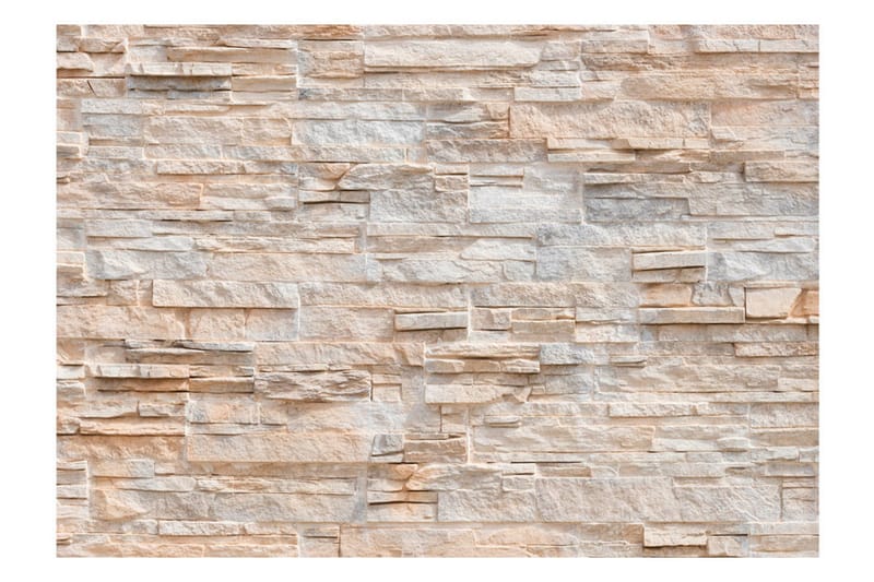 Valokuvatapetti Stony Gracefulness 150x105 - Artgeist sp. z o. o. - Sisustustuotteet - Seinäkoristeet - Tapetit - Valokuvatapetit