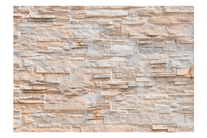 Valokuvatapetti Stony Gracefulness 200x140 - Artgeist sp. z o. o. - Sisustustuotteet - Seinäkoristeet - Tapetit - Valokuvatapetit