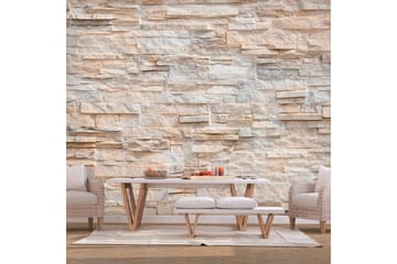Valokuvatapetti Stony Gracefulness 250x175 - Artgeist sp. z o. o. - Sisustustuotteet - Seinäkoristeet - Tapetit - Valokuvatapetit