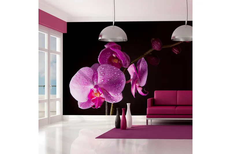 Valokuvatapetti Stylish Orchids 300x231, Artgeist sp. z o. o.