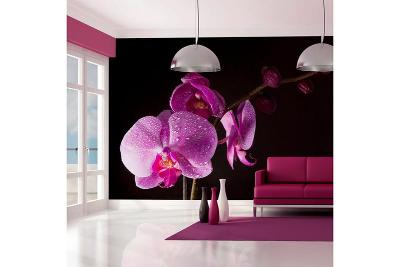 Valokuvatapetti Stylish Orchids 350x270, Artgeist sp. z o. o.