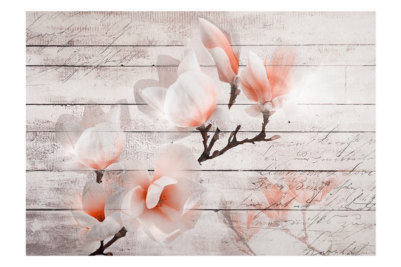 Valokuvatapetti Subtlety Of The Magnolia 400x280 - Artgeist sp. z o. o. - Sisustustuotteet - Seinäkoristeet - Tapetit - Valokuvatapetit