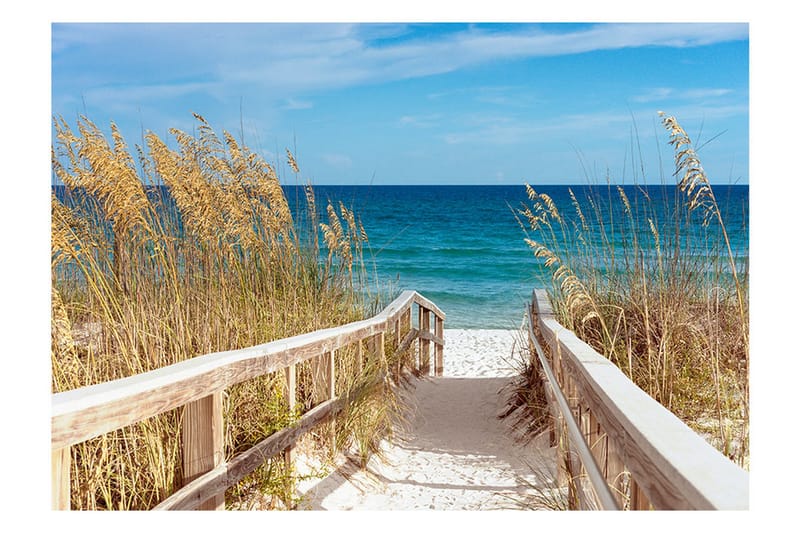 Valokuvatapetti Summer At The Seaside 200x140 - Artgeist sp. z o. o. - Sisustustuotteet - Seinäkoristeet - Tapetit - Valokuvatapetit