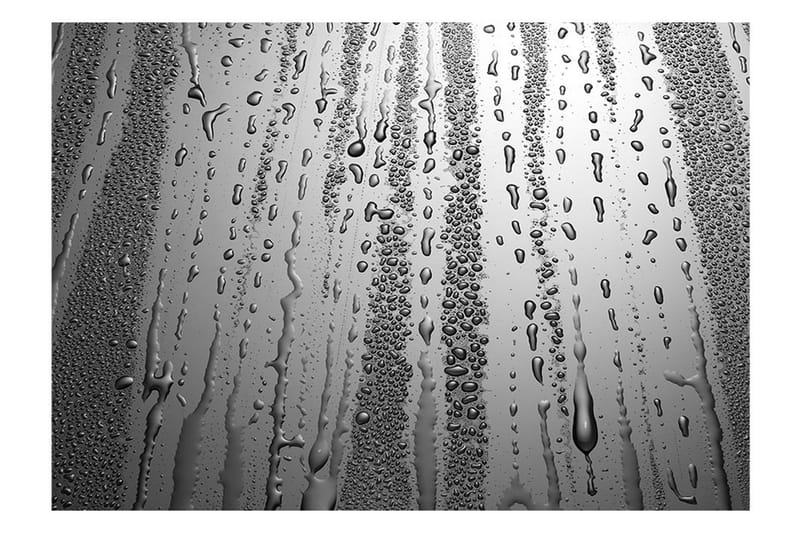 Valokuvatapetti Summer Drizzle 300x210 - Artgeist sp. z o. o. - Sisustustuotteet - Seinäkoristeet - Tapetit - Valokuvatapetit