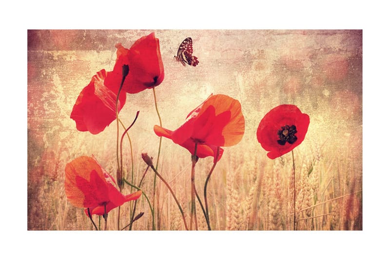 Valokuvatapetti Summer Is Coming 450x270, Artgeist sp. z o. o.