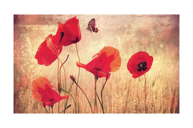 Valokuvatapetti Summer Is Coming 450x270, Artgeist sp. z o. o.