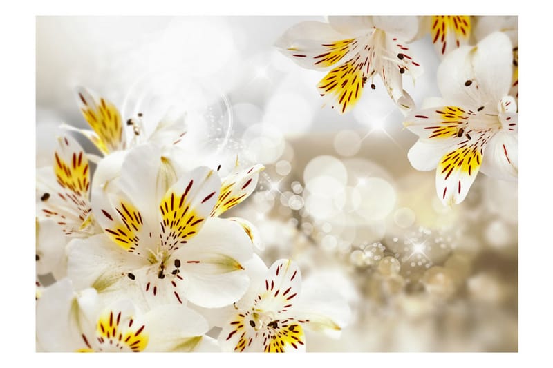 Valokuvatapetti Sunny Alstroemeria 250x175 - Artgeist sp. z o. o. - Sisustustuotteet - Seinäkoristeet - Tapetit - Valokuvatapetit