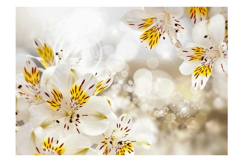 Valokuvatapetti Sunny Alstroemeria 300x210 - Artgeist sp. z o. o. - Sisustustuotteet - Seinäkoristeet - Tapetit - Valokuvatapetit