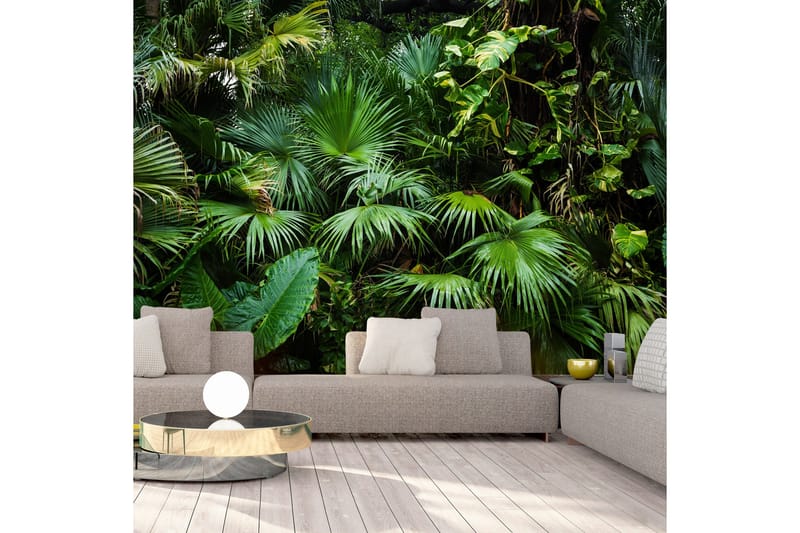 Valokuvatapetti Sunny Jungle 400x280 - Artgeist sp. z o. o. - Sisustustuotteet - Seinäkoristeet - Tapetit - Valokuvatapetit