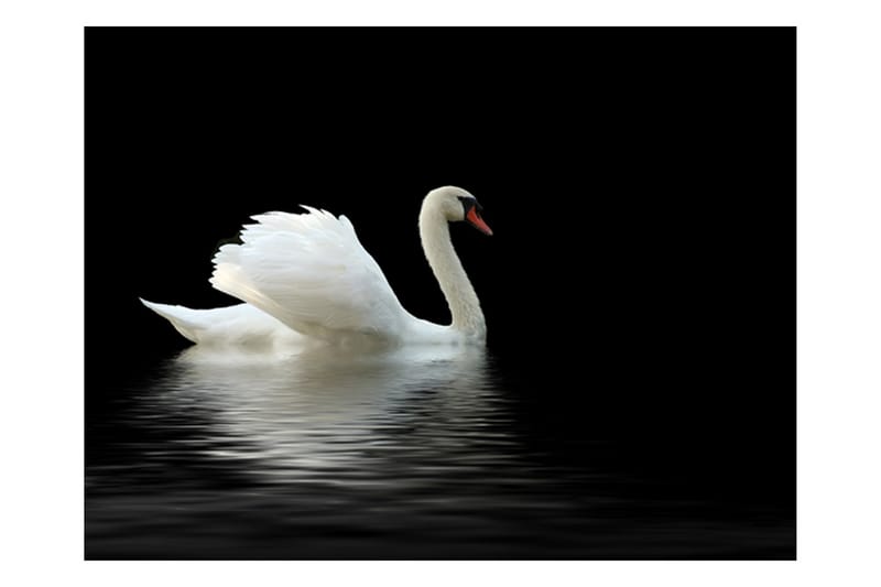 Valokuvatapetti swan Musta ja valkoinen 300x231 - Artgeist sp. z o. o. - Sisustustuotteet - Seinäkoristeet - Tapetit - Valokuvatapetit