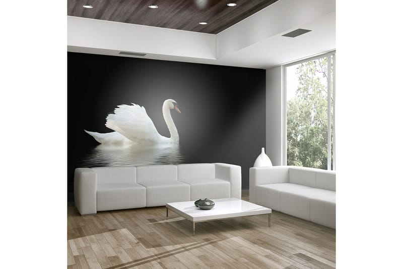 Valokuvatapetti swan Musta ja valkoinen 350x270, Artgeist sp. z o. o.