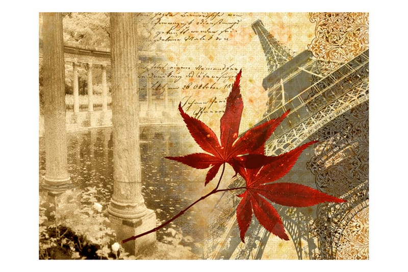 Valokuvatapetti Syksy Ja Pariisi 250x193 - Artgeist sp. z o. o. - Sisustustuotteet - Seinäkoristeet - Tapetit - Valokuvatapetit