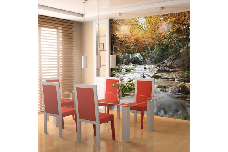 Valokuvatapetti Syksy Vesiputous 200x154 - Artgeist sp. z o. o. - Sisustustuotteet - Seinäkoristeet - Tapetit - Valokuvatapetit