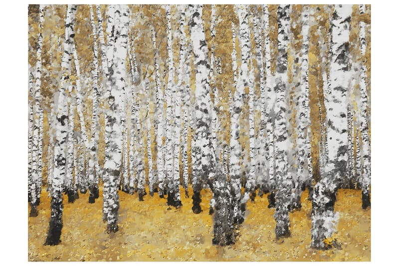 Valokuvatapetti Syksyinen koivumetsä 300x231 - Artgeist sp. z o. o. - Sisustustuotteet - Seinäkoristeet - Tapetit - Valokuvatapetit