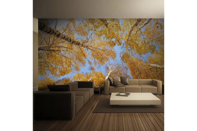 Valokuvatapetti Syksyiset Puunlatvat 250x193 - Artgeist sp. z o. o. - Sisustustuotteet - Seinäkoristeet - Tapetit - Valokuvatapetit