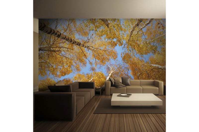 Valokuvatapetti Syksyiset puunlatvukset 400x309 - Artgeist sp. z o. o. - Sisustustuotteet - Seinäkoristeet - Tapetit - Valokuvatapetit