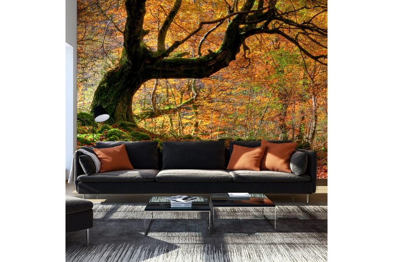 Valokuvatapetti Syysmetsä ja lehdet 450x270, Artgeist sp. z o. o.