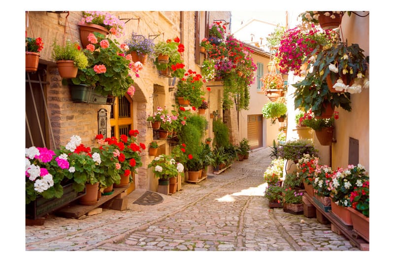 Valokuvatapetti The Alley In Spello Italy 250x175 - Artgeist sp. z o. o. - Sisustustuotteet - Seinäkoristeet - Tapetit - Valokuvatapetit