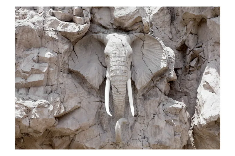 Valokuvatapetti The Bridge Of Time South Africa 350x245 - Artgeist sp. z o. o. - Sisustustuotteet - Seinäkoristeet - Tapetit - Valokuvatapetit