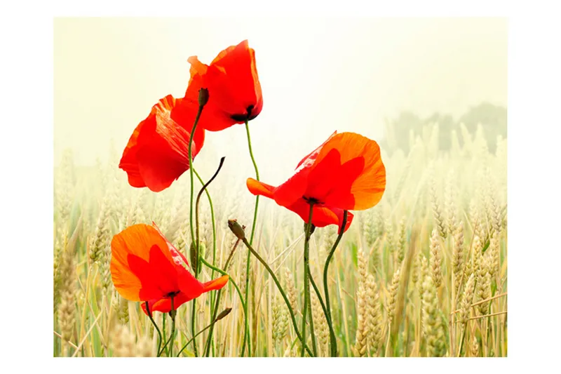 Valokuvatapetti The Fine With Wild Poppies 200x154, Artgeist sp. z o. o.