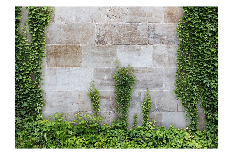 Valokuvatapetti The Forgotten Garden 100x70 - Artgeist sp. z o. o. - Sisustustuotteet - Seinäkoristeet - Tapetit - Valokuvatapetit