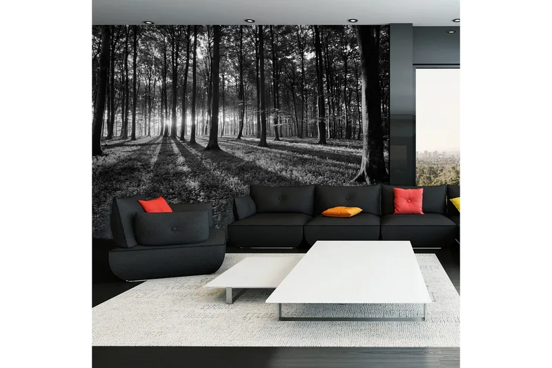 Valokuvatapetti The Light In The Forest 250x175, Artgeist sp. z o. o.