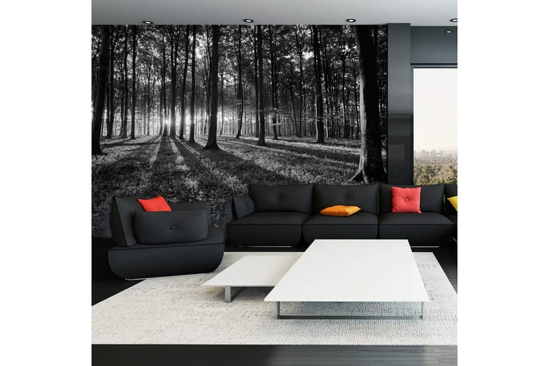 Valokuvatapetti The Light In The Forest 300x210, Artgeist sp. z o. o.