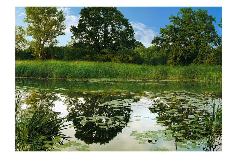 Valokuvatapetti The Magic Pond 300x210 - Artgeist sp. z o. o. - Sisustustuotteet - Seinäkoristeet - Tapetit - Valokuvatapetit