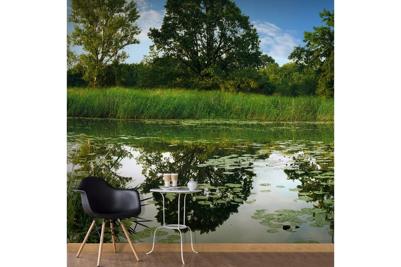 Valokuvatapetti The Magic Pond 100x70, Artgeist sp. z o. o.